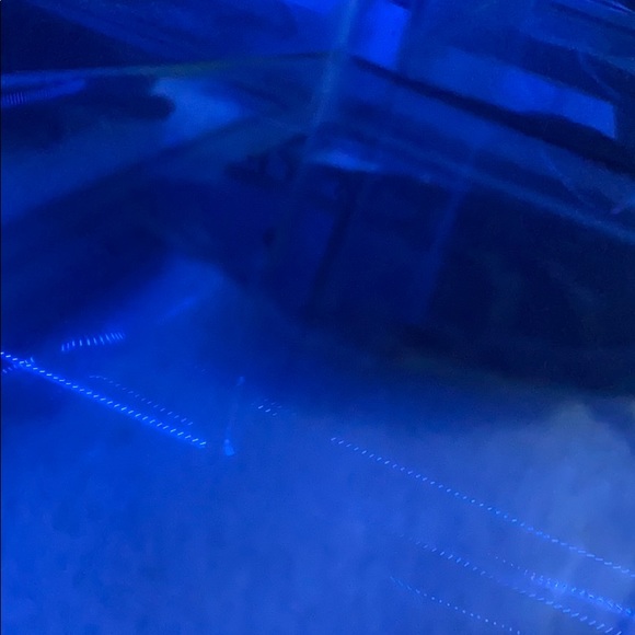 Meet your Posher, Kyler - Picture 1 of 1